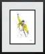 A Kind Of Magic - Miniature - Framed