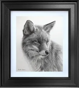 Curious Fox - Study - Original - Black Framed
