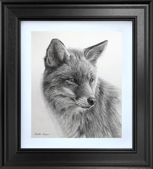Curious Fox - Original Curious Fox - Original