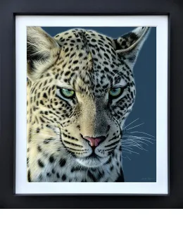 Emerald Gaze - Limited Edition - Black Framed