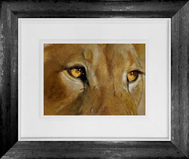 Golden Gaze - Original - Framed