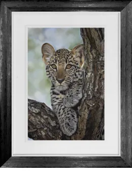 High Hopes - Original - Framed