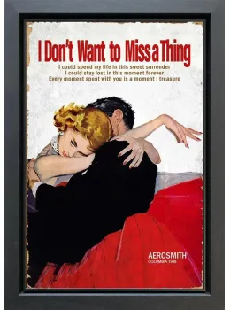 I Don't Want To Miss A Thing - Original - Framed