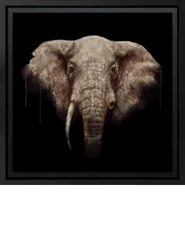 Innocence - Aluminum Di-Bond - Black Framed