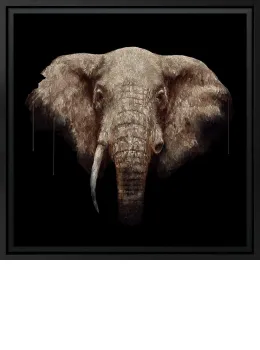 Innocence - Deluxe Aluminum Di-Bond - Black Framed