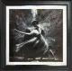 La Danza III - Original - Black Framed