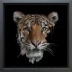 Mighty - Original - Framed