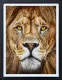 The King - Deluxe Limited Edition - Black Framed