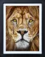 The King - Limited Edition - Black Framed