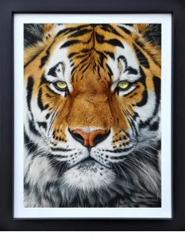 The Prince - Limited Edition - Black Framed