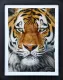The Prince - Limited Edition - Black Framed