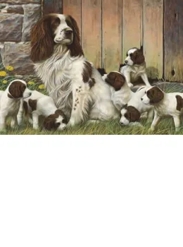 Dad's Army - Springer Spaniels - Original - Framed