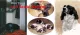 Dog Tales & 2 LE & Original II - Print