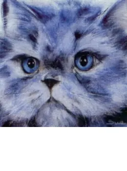 Face Value - Blue Persian - Print
