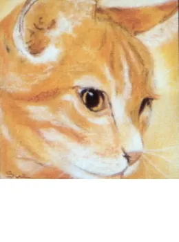 Face Value - Ginger Tom - Print