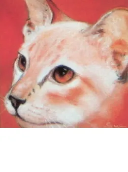Face Value - Red Siamese - Print