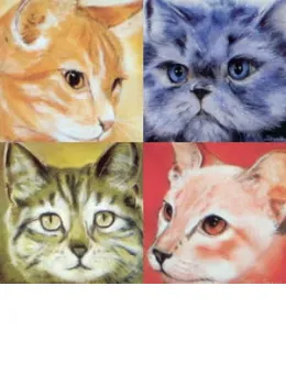 Face Value - Set Of 4 - Print