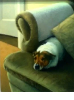 On The Couch - Jack Russell - Original - Framed