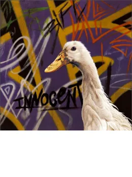 Innocent - Box Canvas