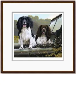 Off Roaders - Dark Wood Framed