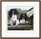 Off Roaders - Dark Wood Framed