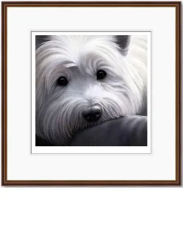 Dog Tired Series - West Highland Terrier - Dark Wood Framed