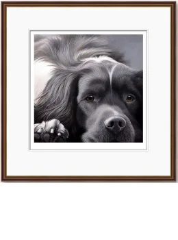Dog Tired Series - English Springer - Dark Wood Framed