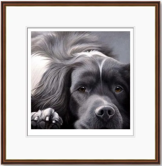 Dog Tired Series - English Springer Spaniel Dog Tired Series - English Springer Spaniel