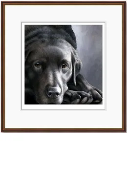 Dog Tired Series - Black Labrador - Dark Wood Framed