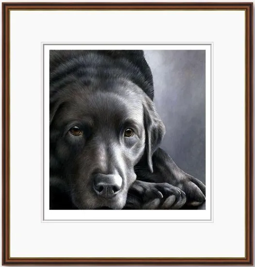 Dog Tired Series - Black Labrador Dog Tired Series - Black Labrador
