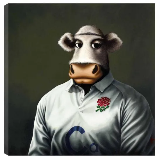 Rugby Bull Rugby Bull