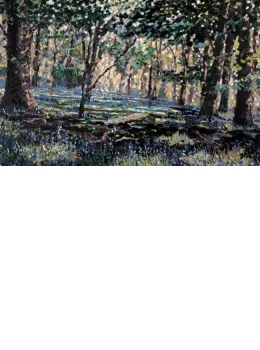 Bluebell Shadow - Board Only