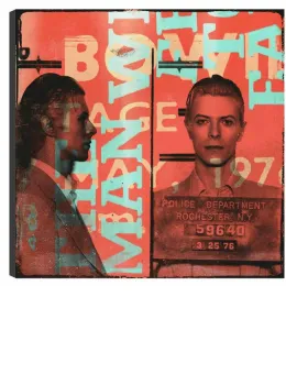 Bowie - Box Canvas
