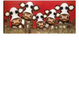 Have You Herd - Box Canvas