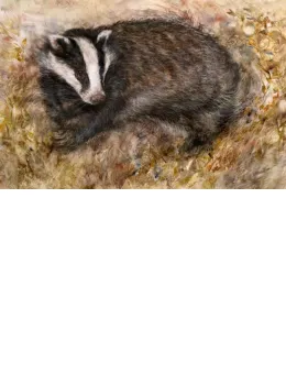Badgers Rest - Board Only
