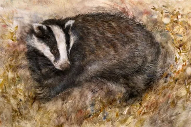 Badgers Rest