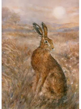 Moonlight Hare - Board Only