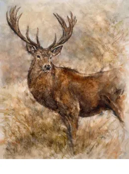 Majestic Stag - Board Only
