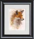 Reynard II - Framed