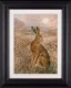 Moonlight Hare - Framed