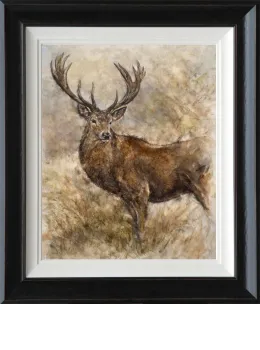 Majestic Stag - Framed