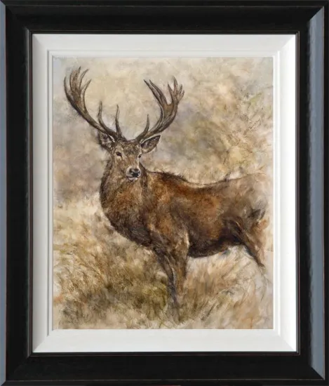 Majestic Stag