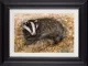 Badgers Rest - Framed