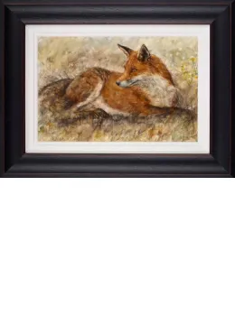 Red Fox Waiting - Framed