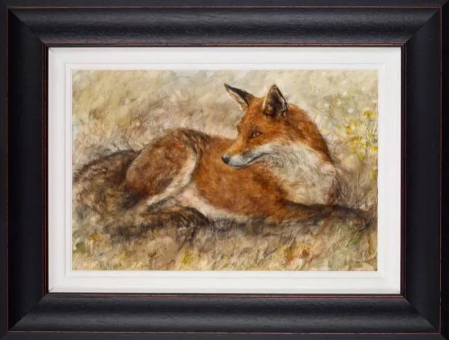 Red Fox Waiting