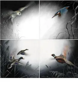 In Flight - Set Of 4 - Canvas With Slip