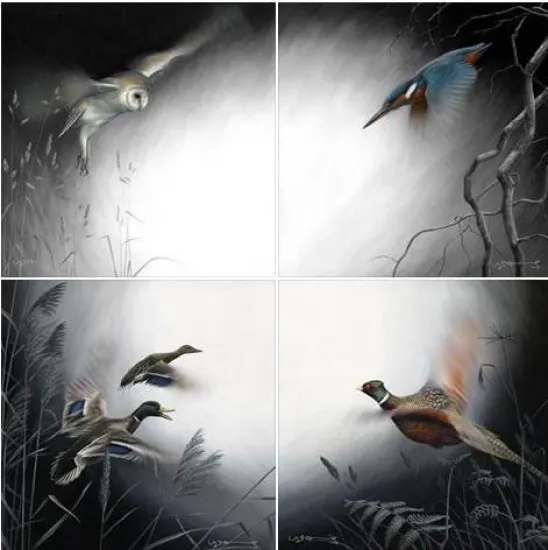 In Flight - Set Of 4 - Canvas With Slip In Flight - Set Of 4 - Canvas With Slip