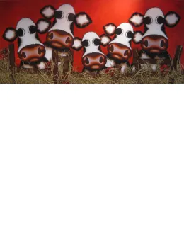 Have You Herd - Atelier Edition - Box Canvas