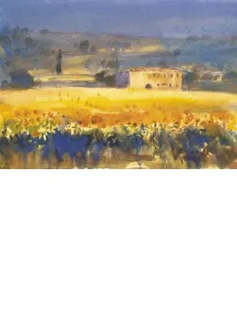 Sunflowers, Tuscany - Print