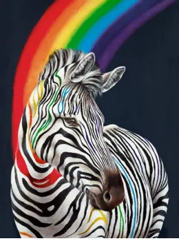 Show Your Colours - Box Canvas